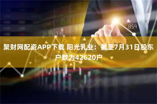 聚财网配资APP下载 阳光乳业：截至7月31日股东户数为42620户